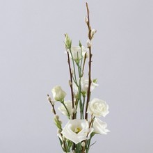 Whites Table Centre